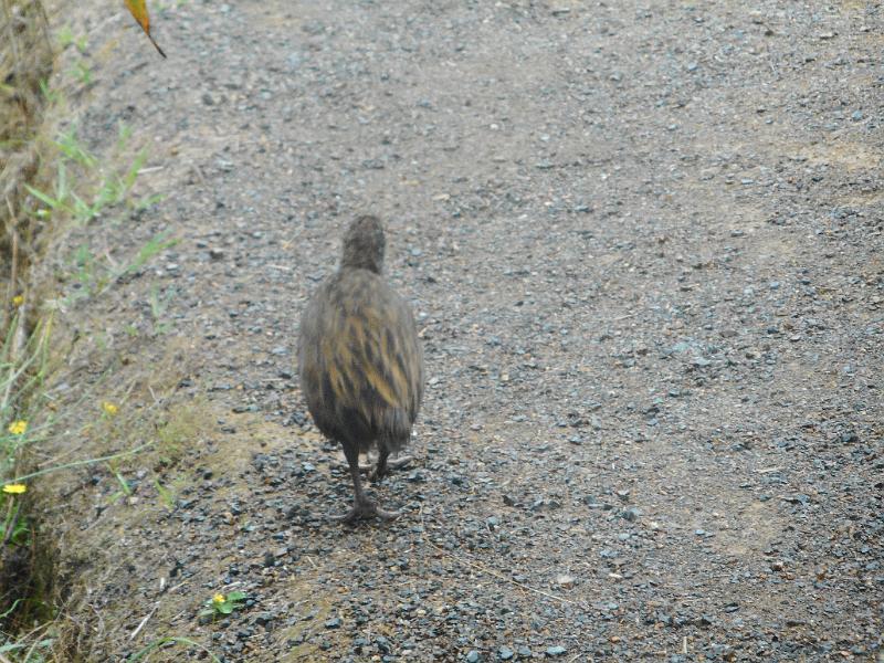 DSCN2587.JPG