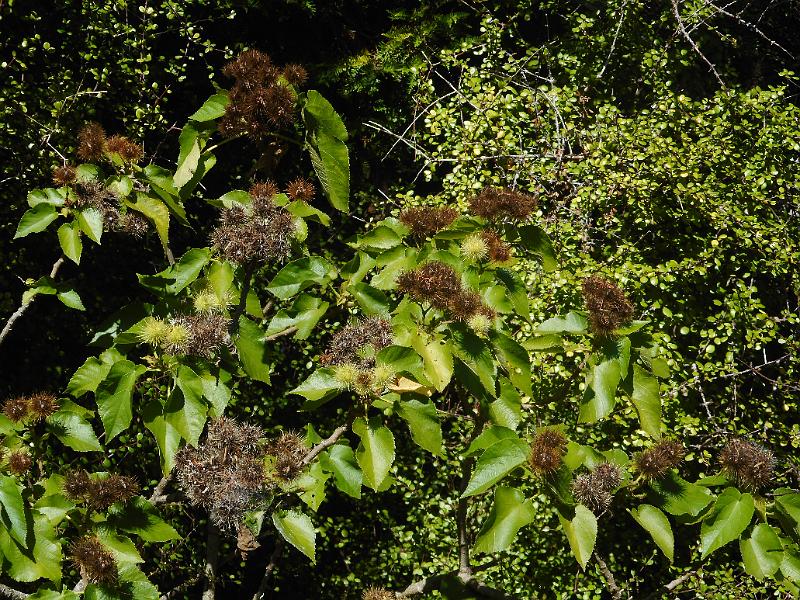 DSCN1465.JPG