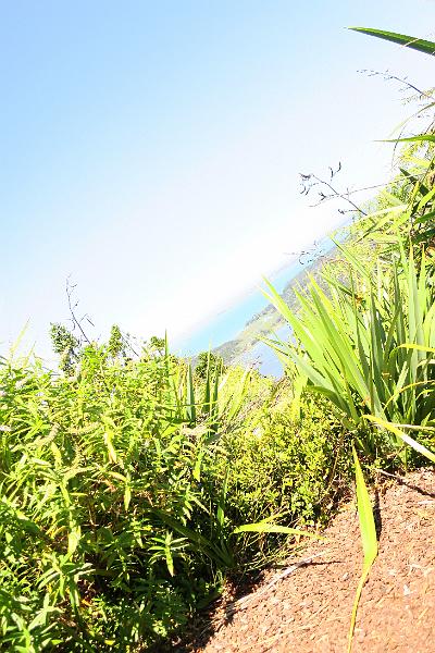 IMG_6871.JPG