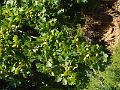 DSCN1458