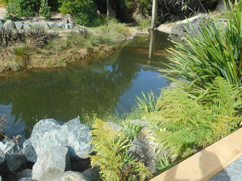 DSCN2651.JPG