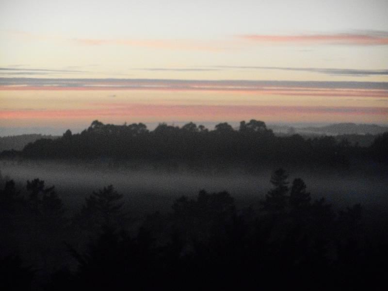DSCN2657.JPG