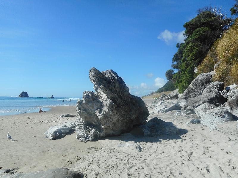 DSCN2669.JPG