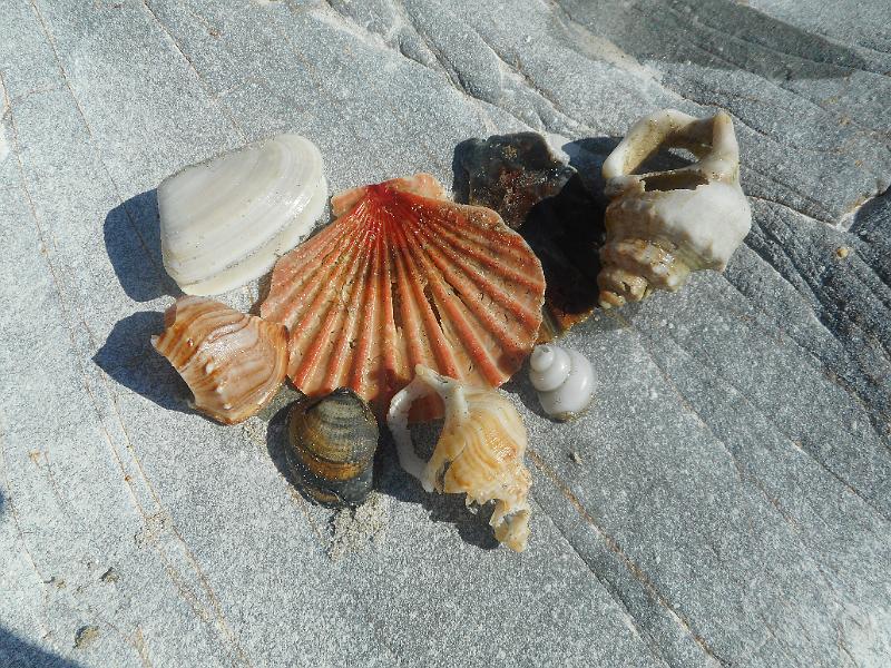 DSCN2670.JPG