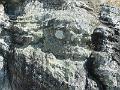 DSCN2676