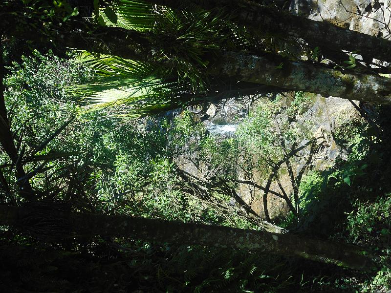 DSCN1519.JPG