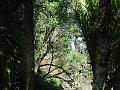 DSCN1517