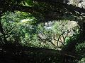 DSCN1519