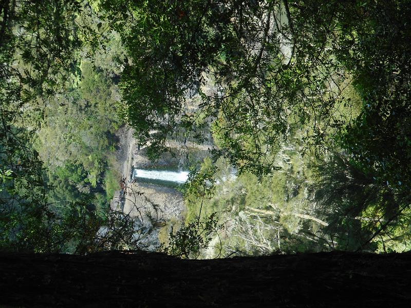 DSCN1539.JPG