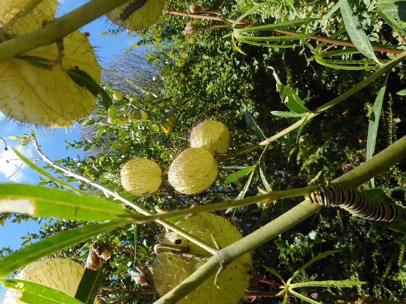 DSCN1541.JPG
