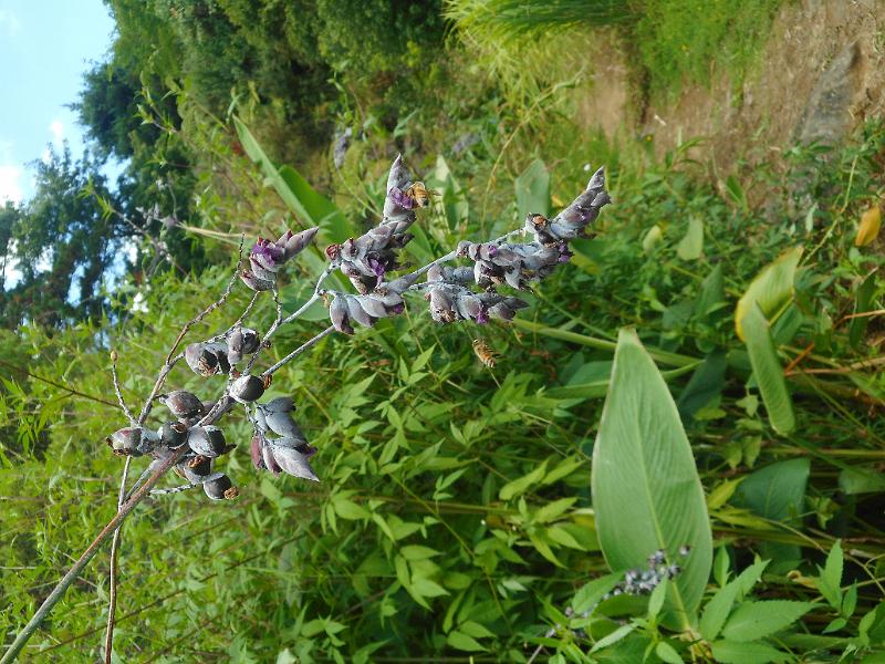 DSCN1545.JPG