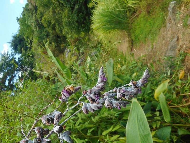 DSCN1546.JPG