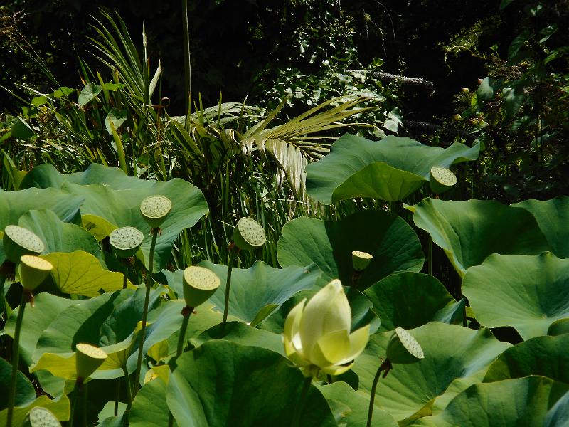 DSCN1560.JPG