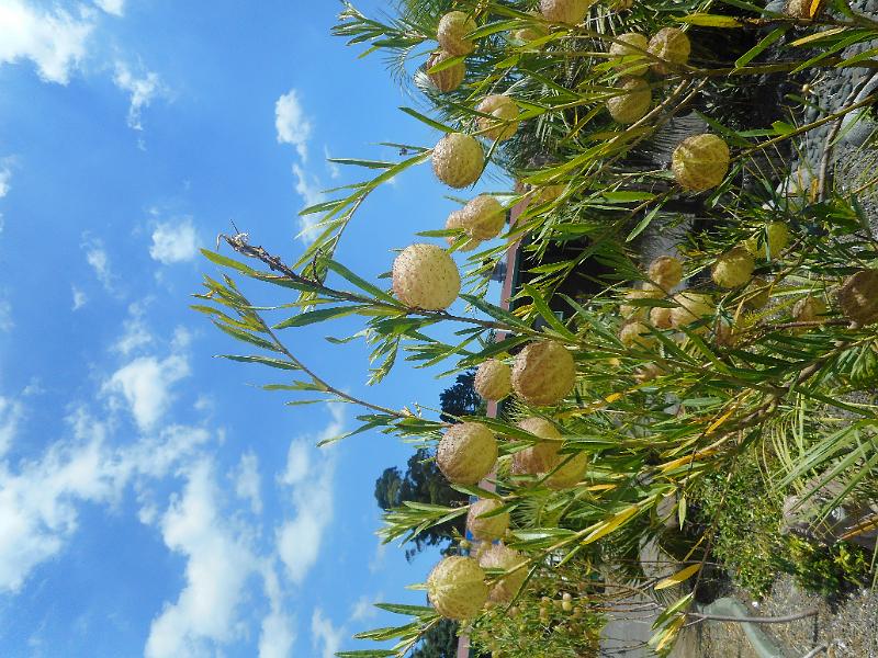 DSCN1566.JPG