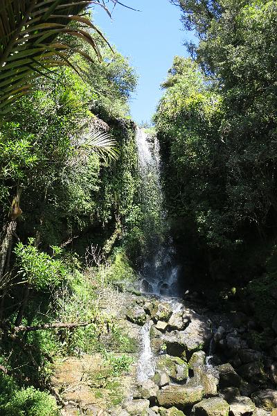 IMG_6998.JPG