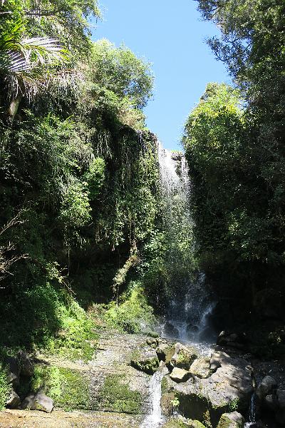 IMG_7001.JPG