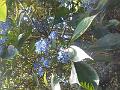 DSCN1544