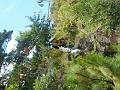 DSCN1548