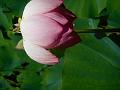 DSCN1556