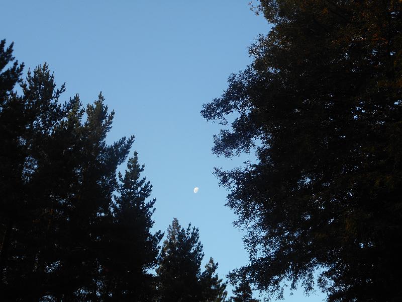 DSCN1573.JPG