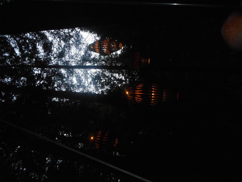DSCN1578.JPG
