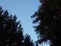 DSCN1573