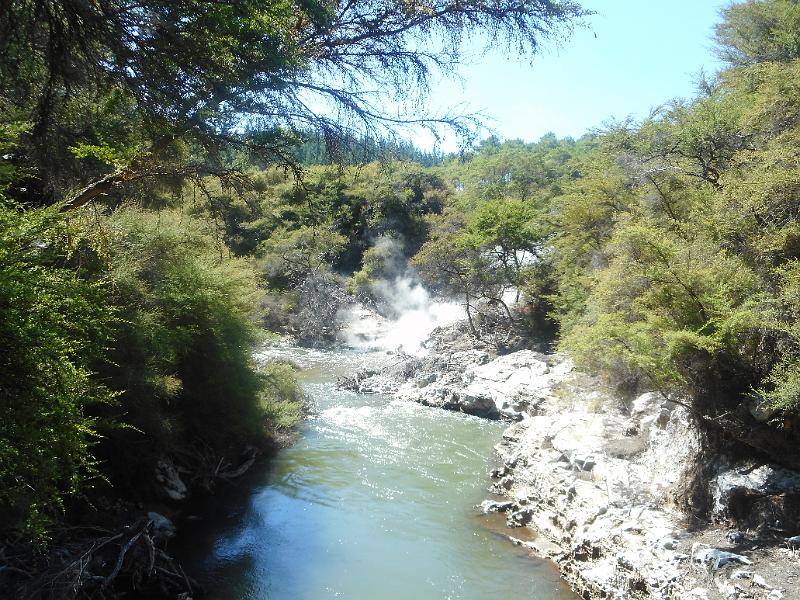 DSCN1601.JPG
