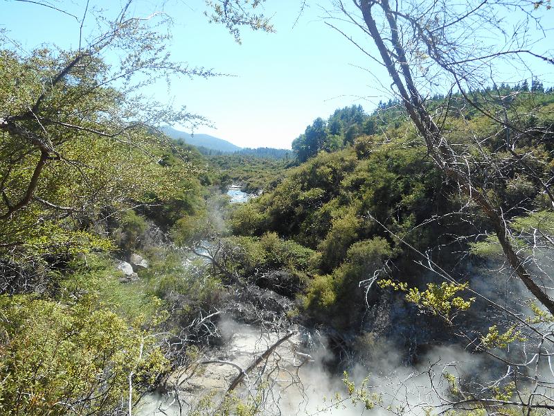 DSCN1602.JPG