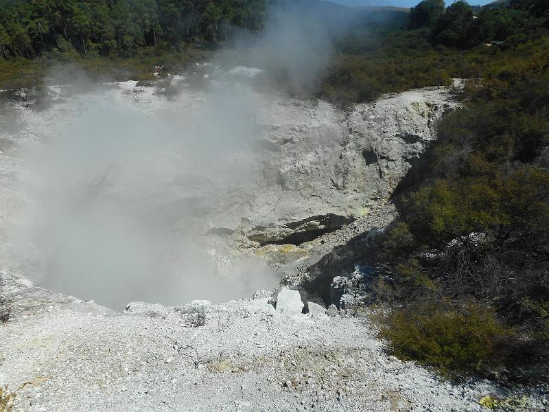 DSCN1620.JPG
