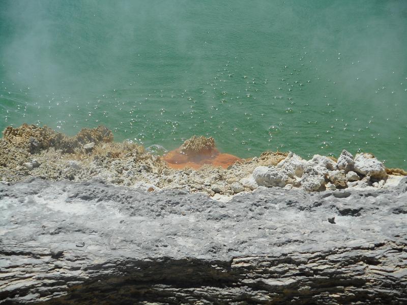 DSCN1650.JPG