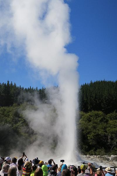 IMG_7180.JPG