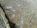 DSCN1646