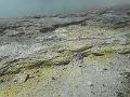 DSCN1652