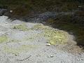 DSCN1656