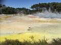 IMG_2431