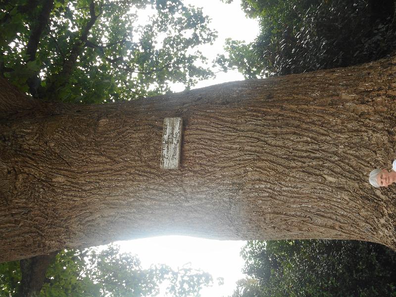 DSCN1709.JPG