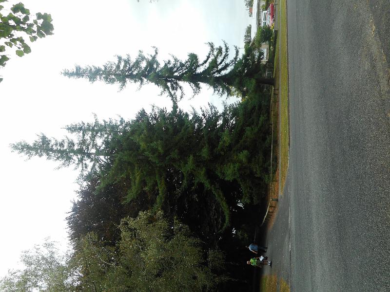 DSCN1720.JPG