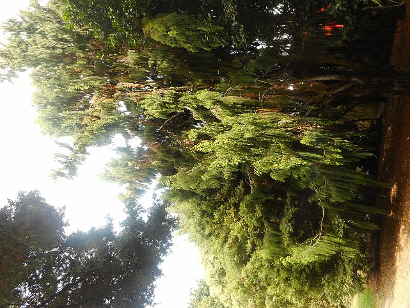 DSCN1728.JPG