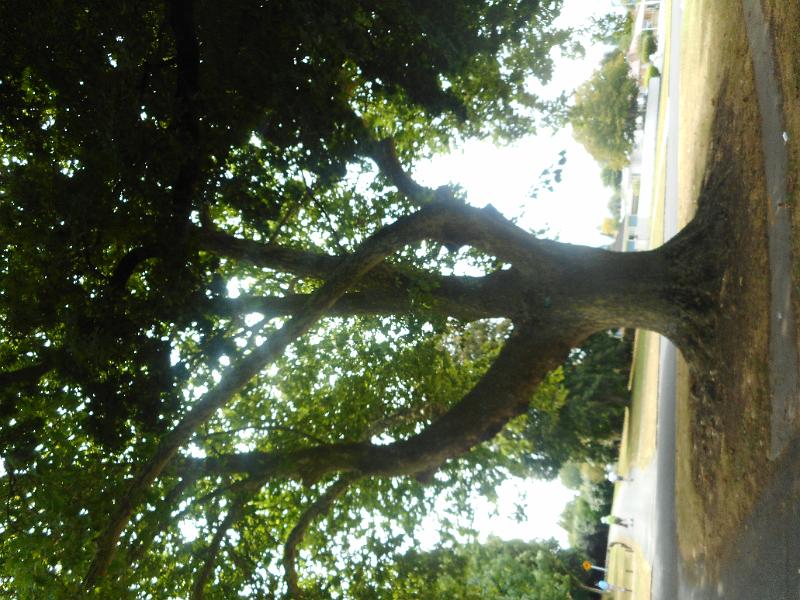 DSCN1730.JPG