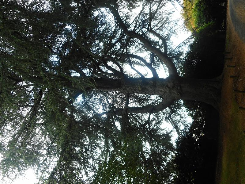 DSCN1734.JPG