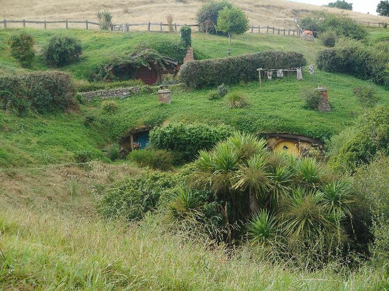 DSCN1775.JPG