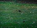 DSCN1712