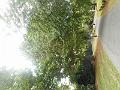 DSCN1714