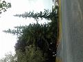 DSCN1720