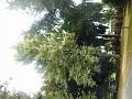 DSCN1723