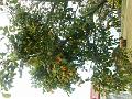 DSCN1753