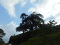 DSCN1778