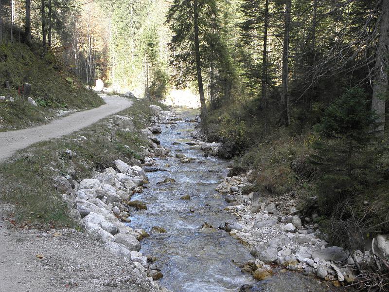 PA100366.JPG