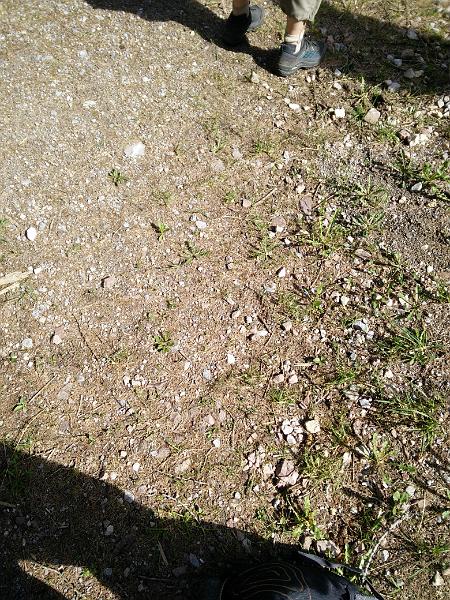 IMG_20160511_100837.jpg