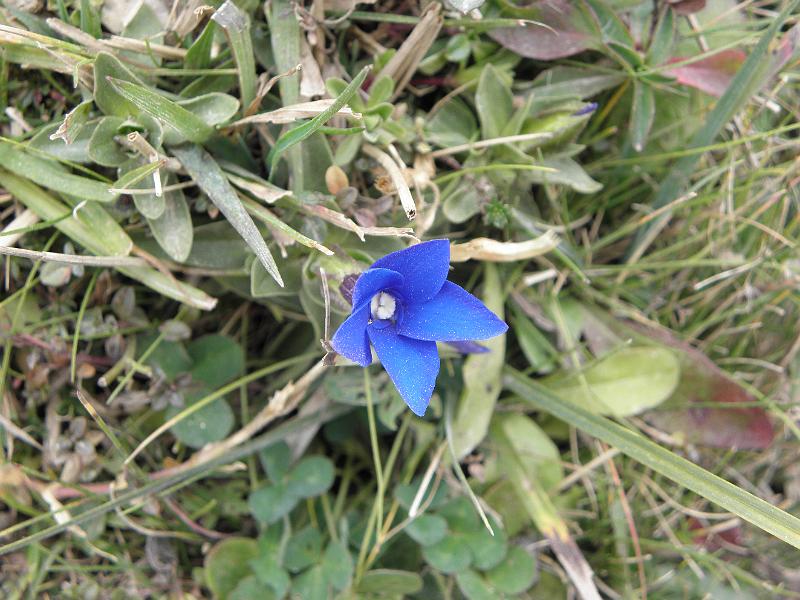 PA110393.JPG
